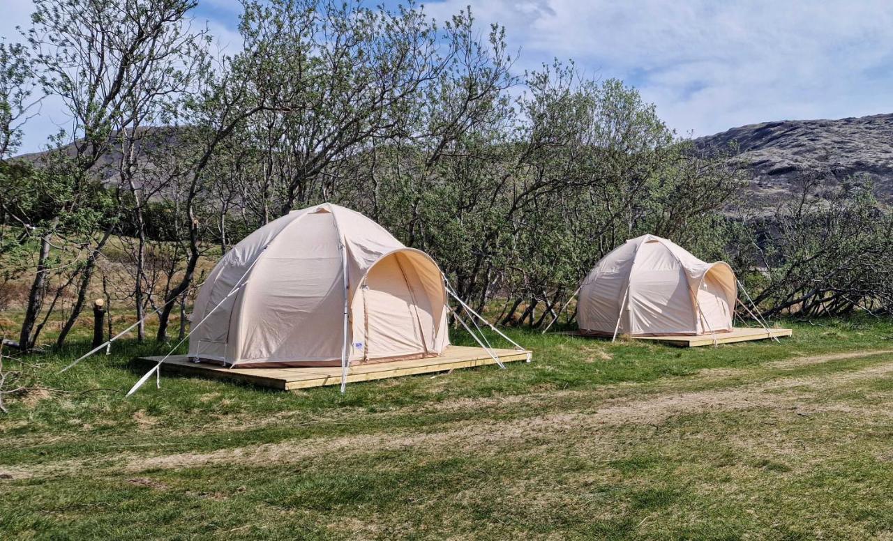 Haukafell Camping - Tents For Rents Höfn Buitenkant foto